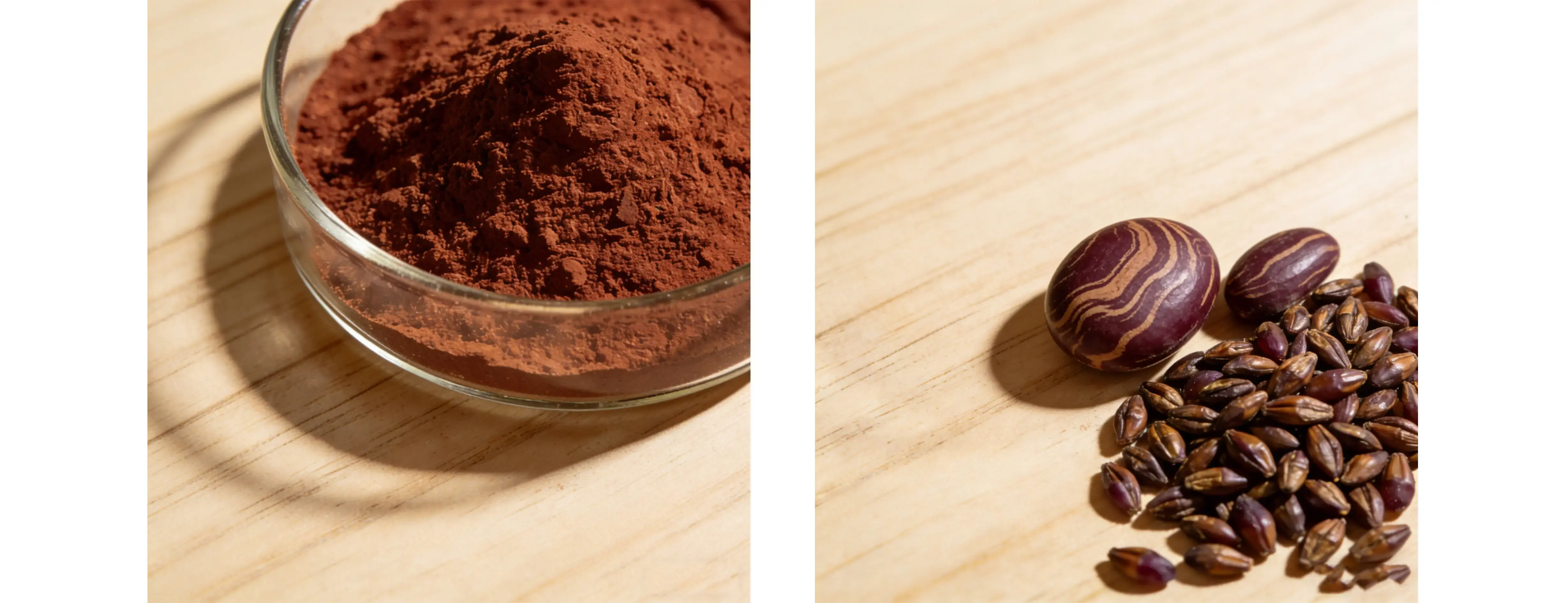 Grape Seed Extract 95% OPC