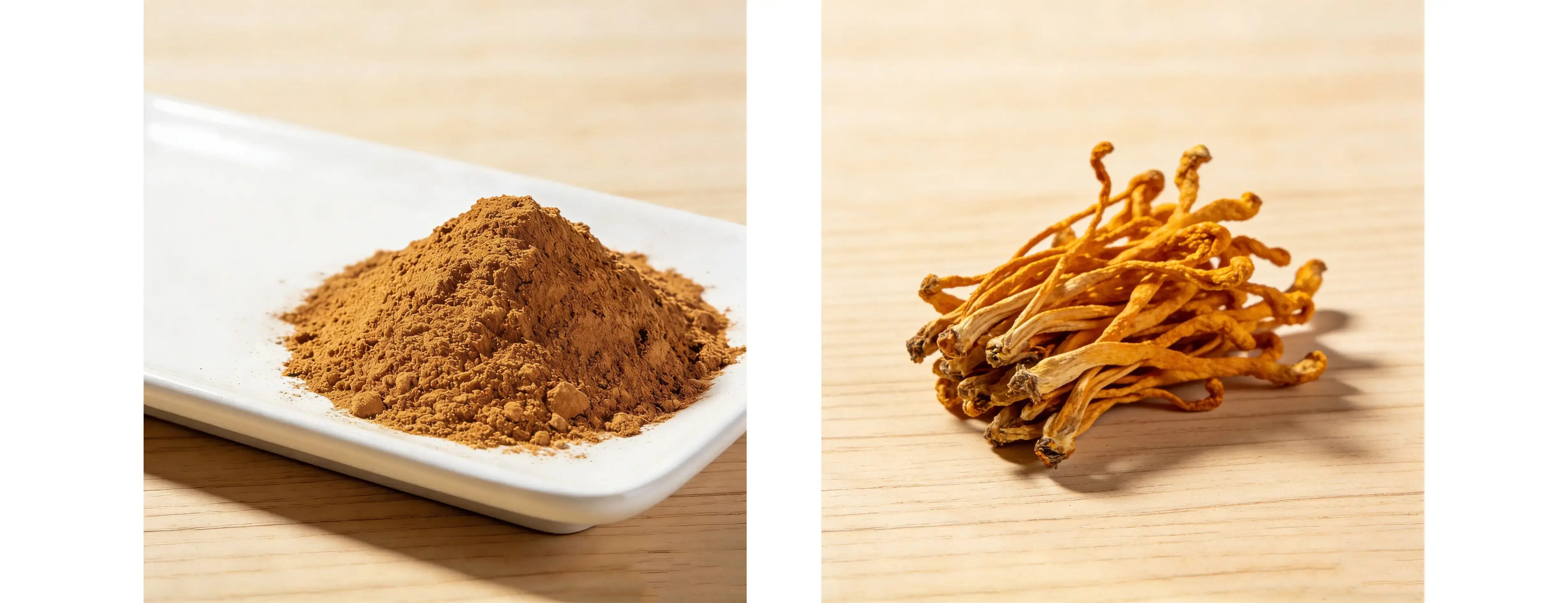 Cordyceps Militaris Extract Polysaccharides Beta Glucan