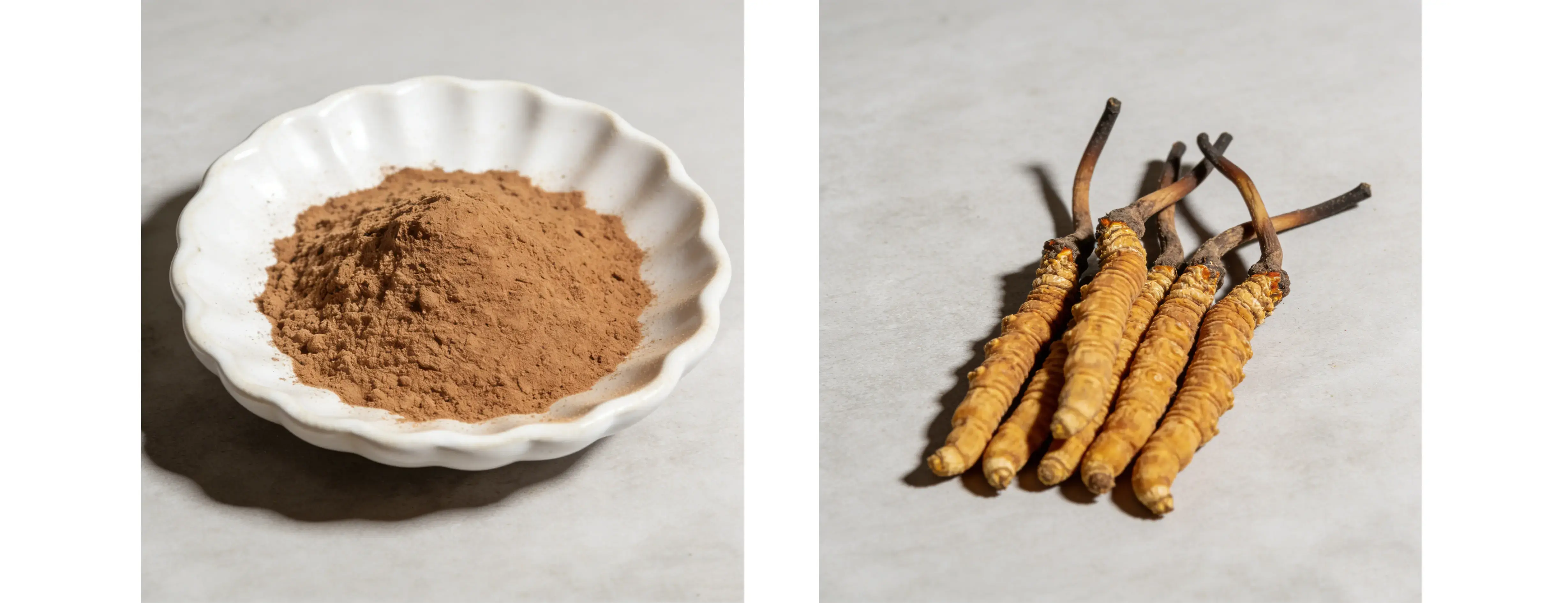 Organic Cordyceps Sinensis Extract Polysaccharides Beta Glucan