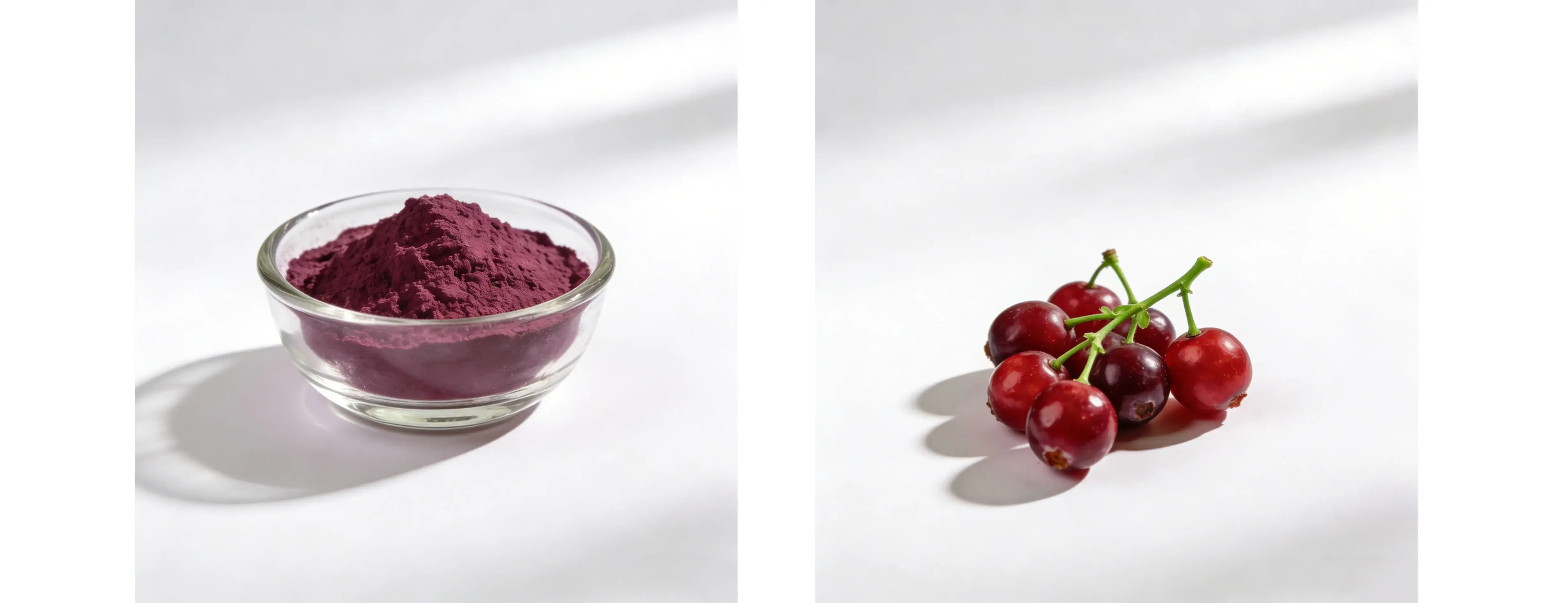 Cranberry Liquid Herbal Extract