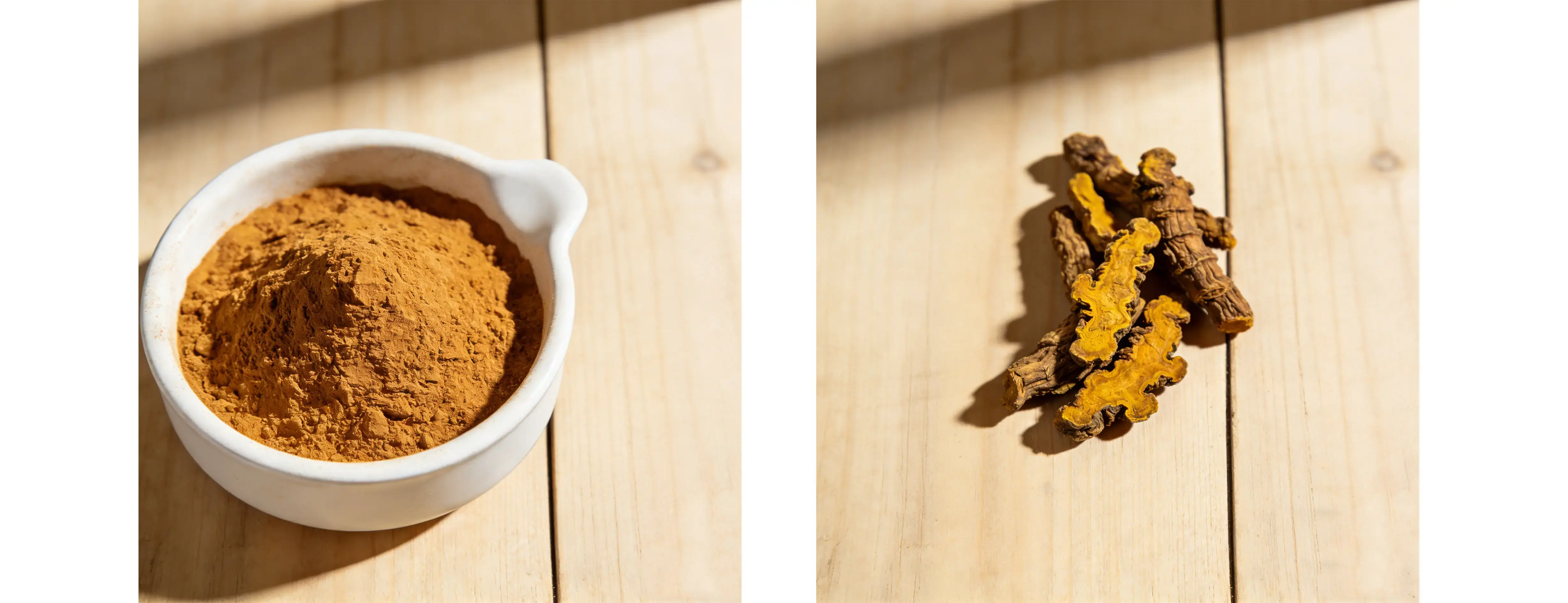 Coptis Chinensis Extract