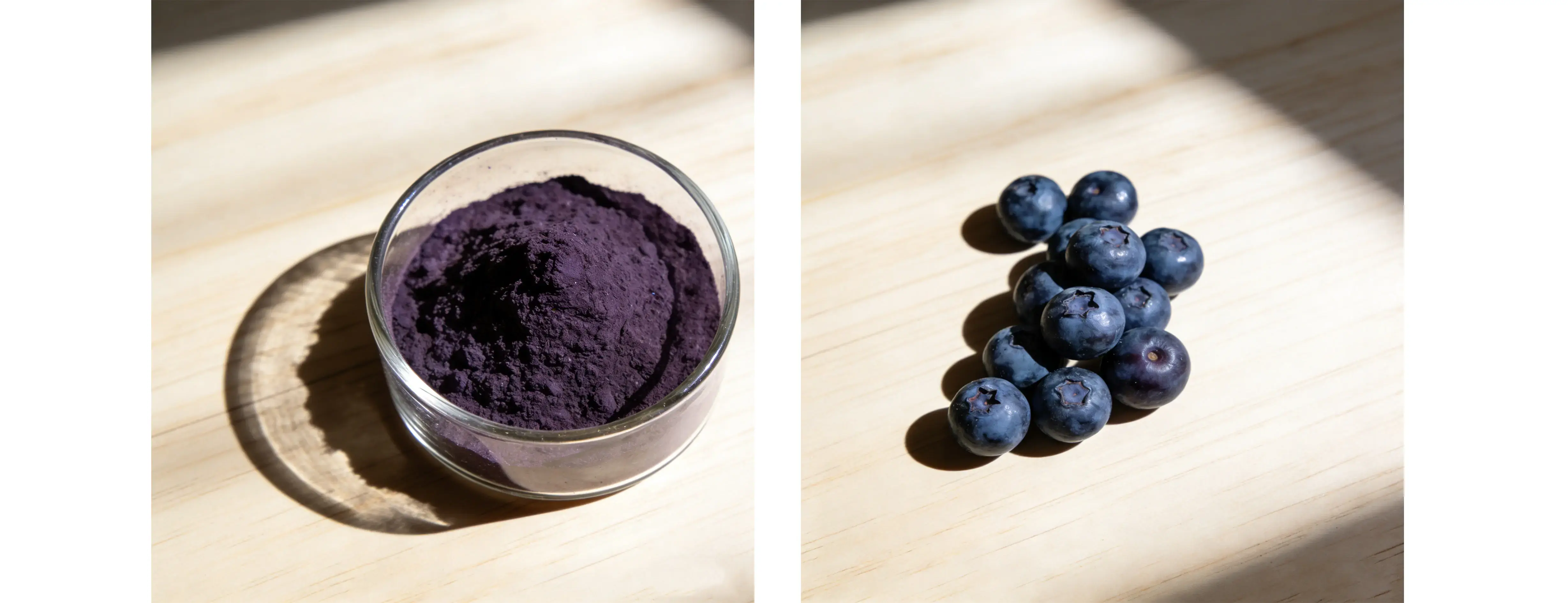 Blueberry Extract Blueberry Extract