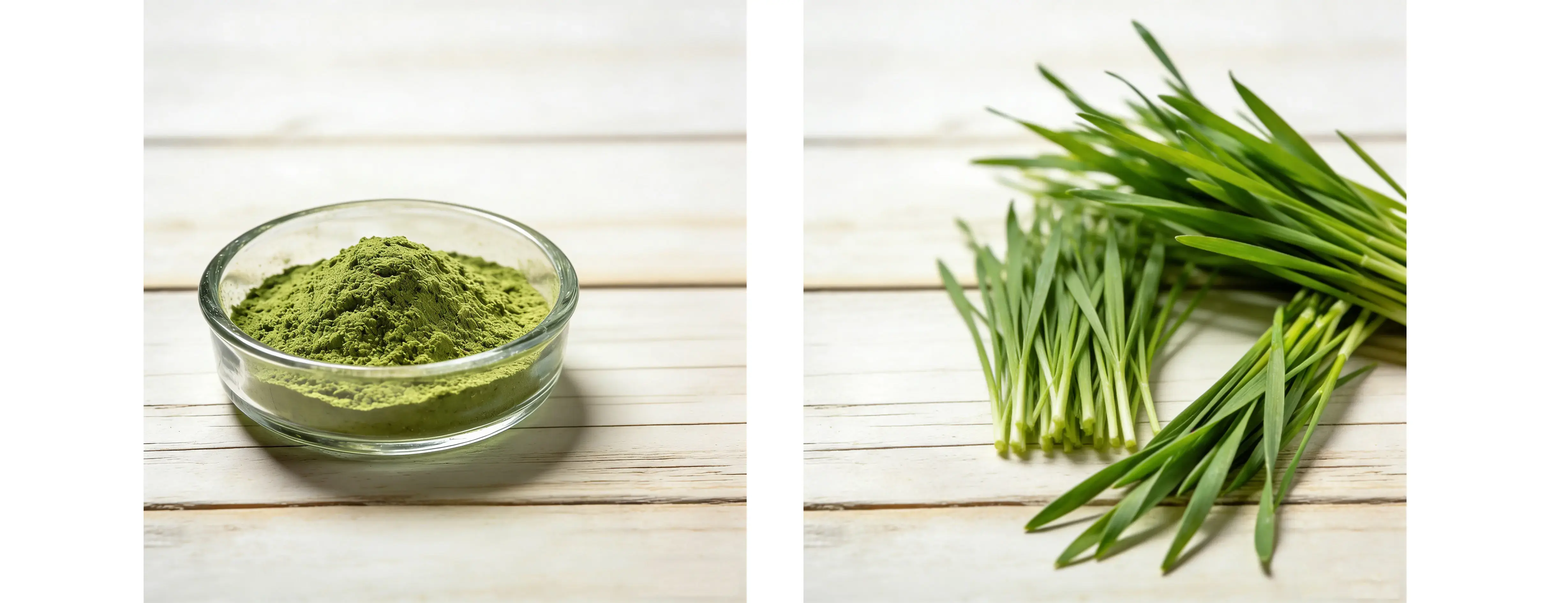Barley Grass Extract