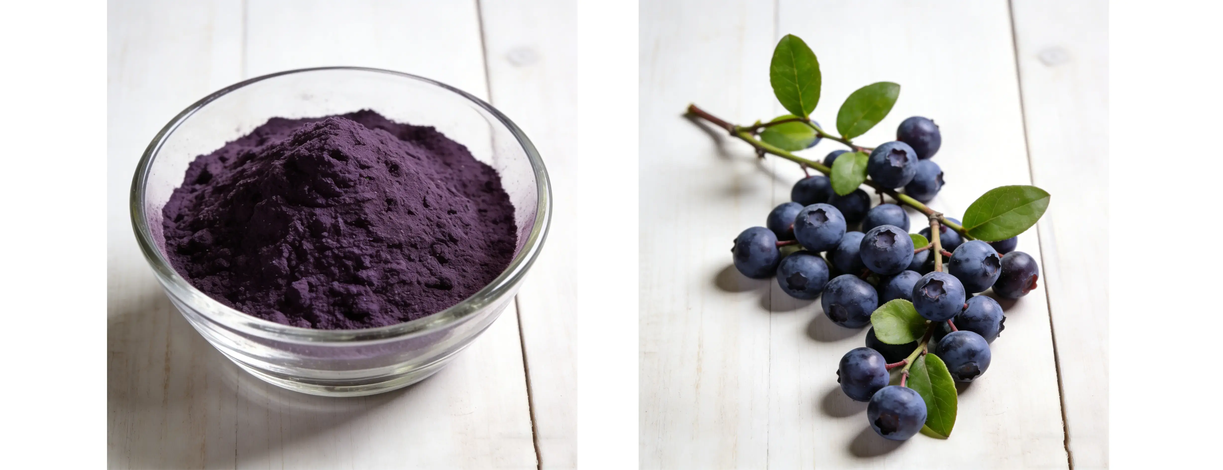 Bilberry Extract