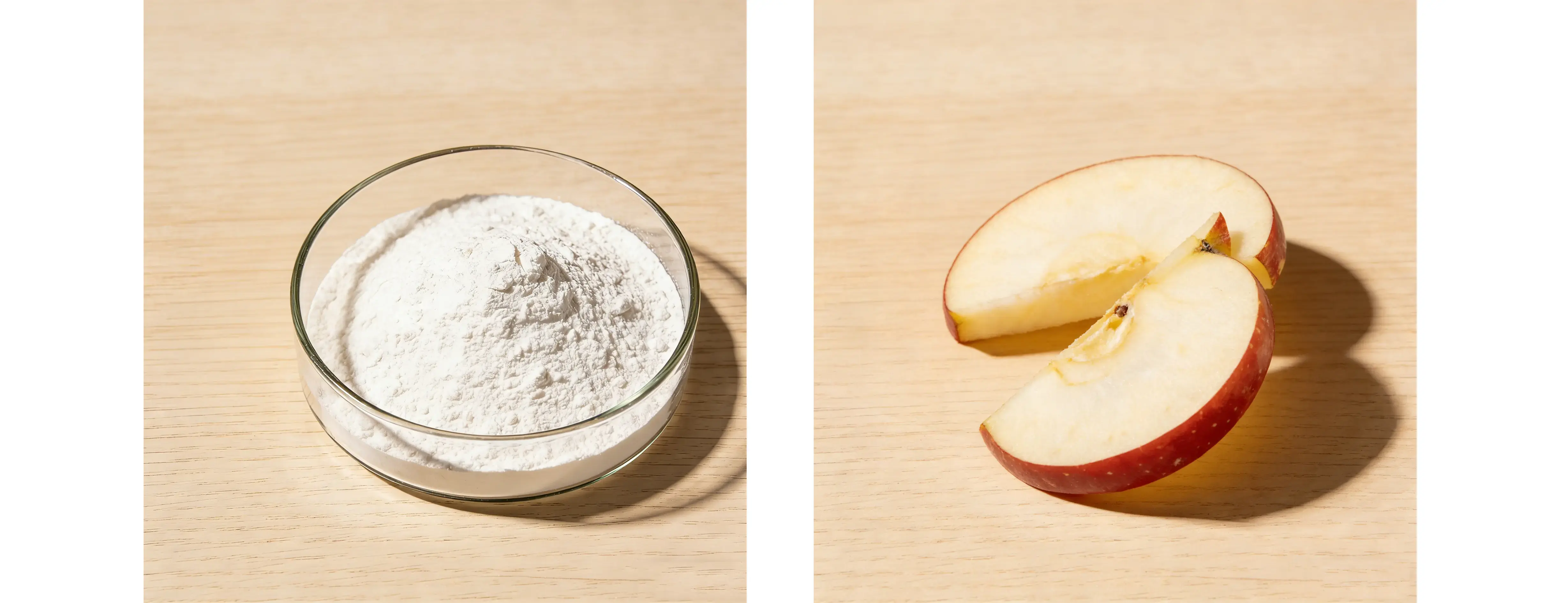 Apple Extract Phloretin 95%