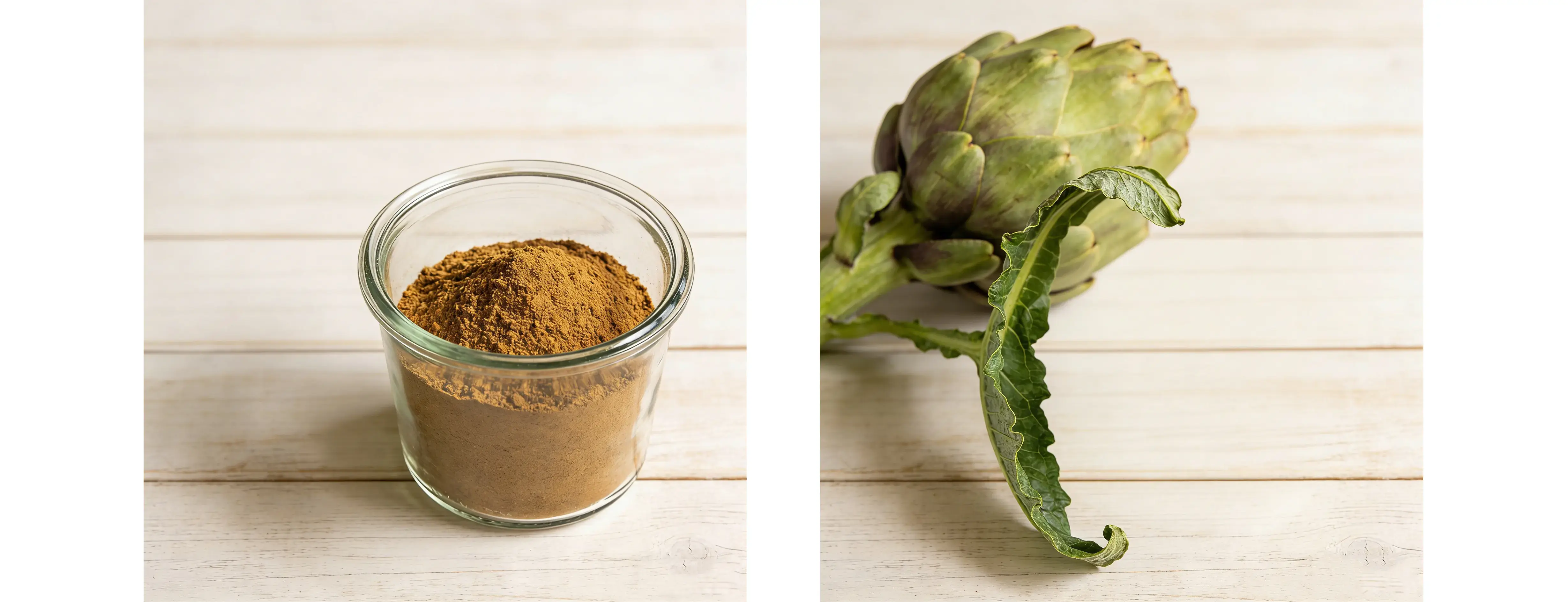 Artichoke Extract Artichoke Extract