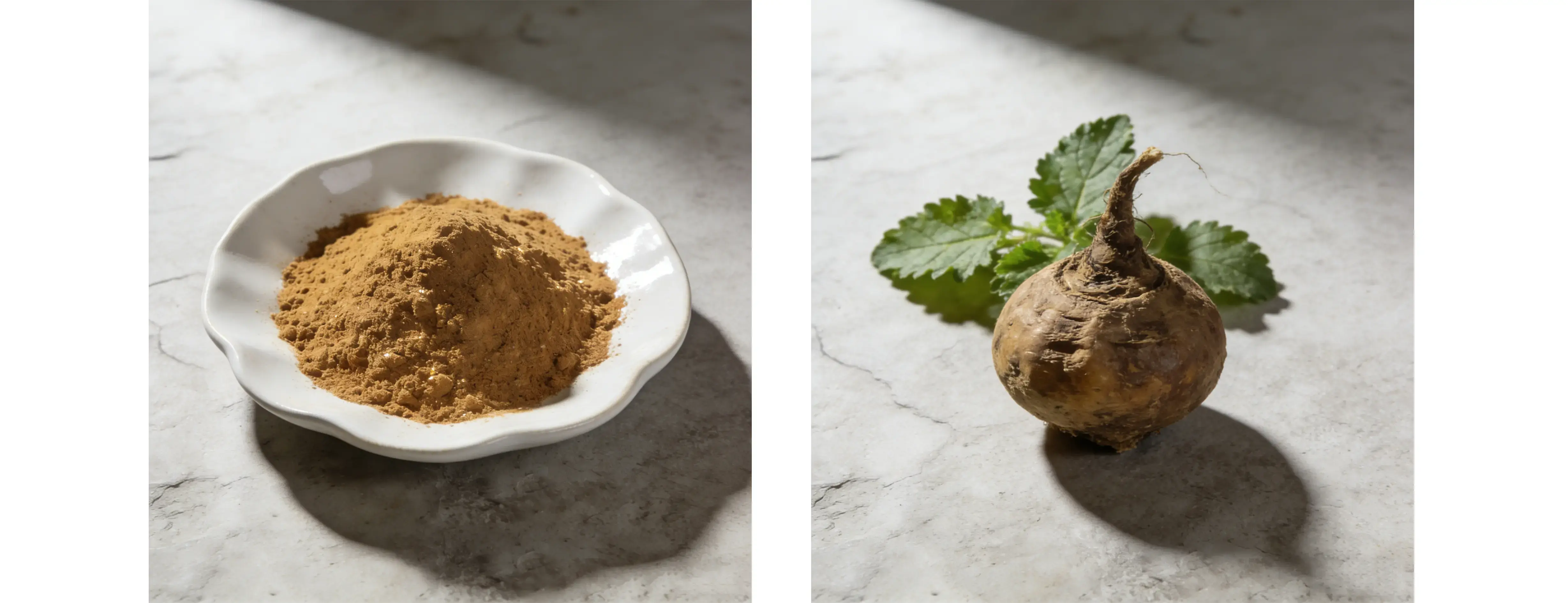 Maca Extract Maca Extract