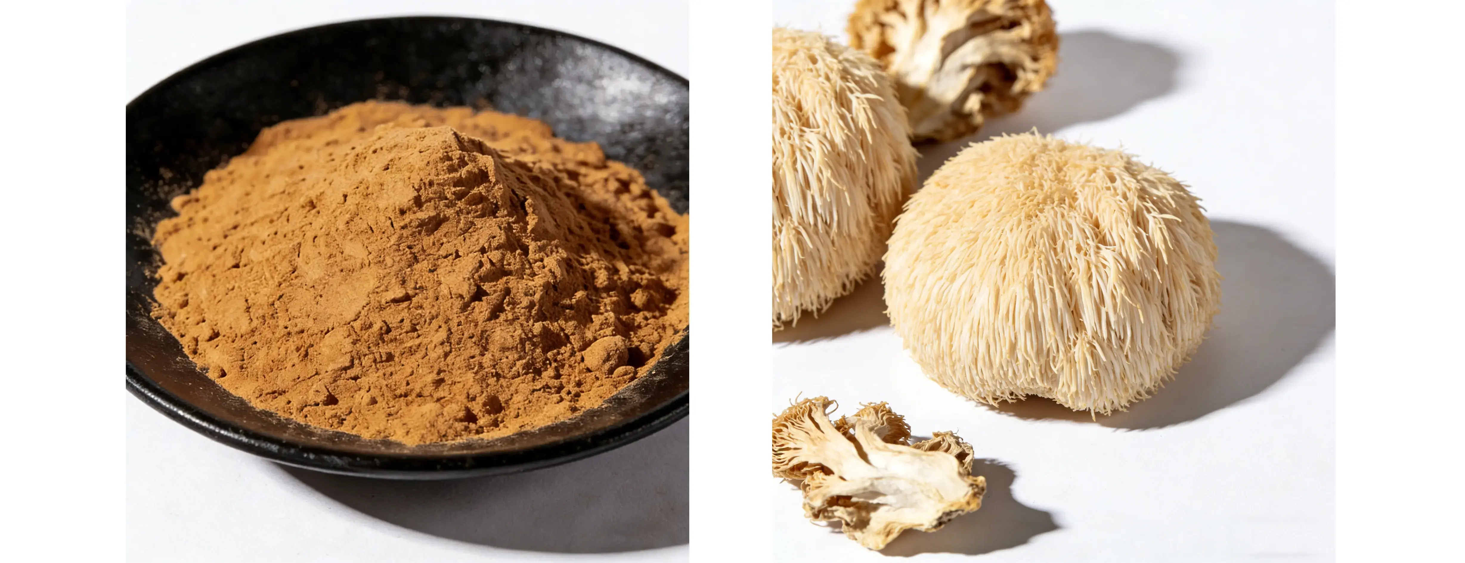 Lion's Mane Mushroom Powder Lion's Mane Mushroom Powder