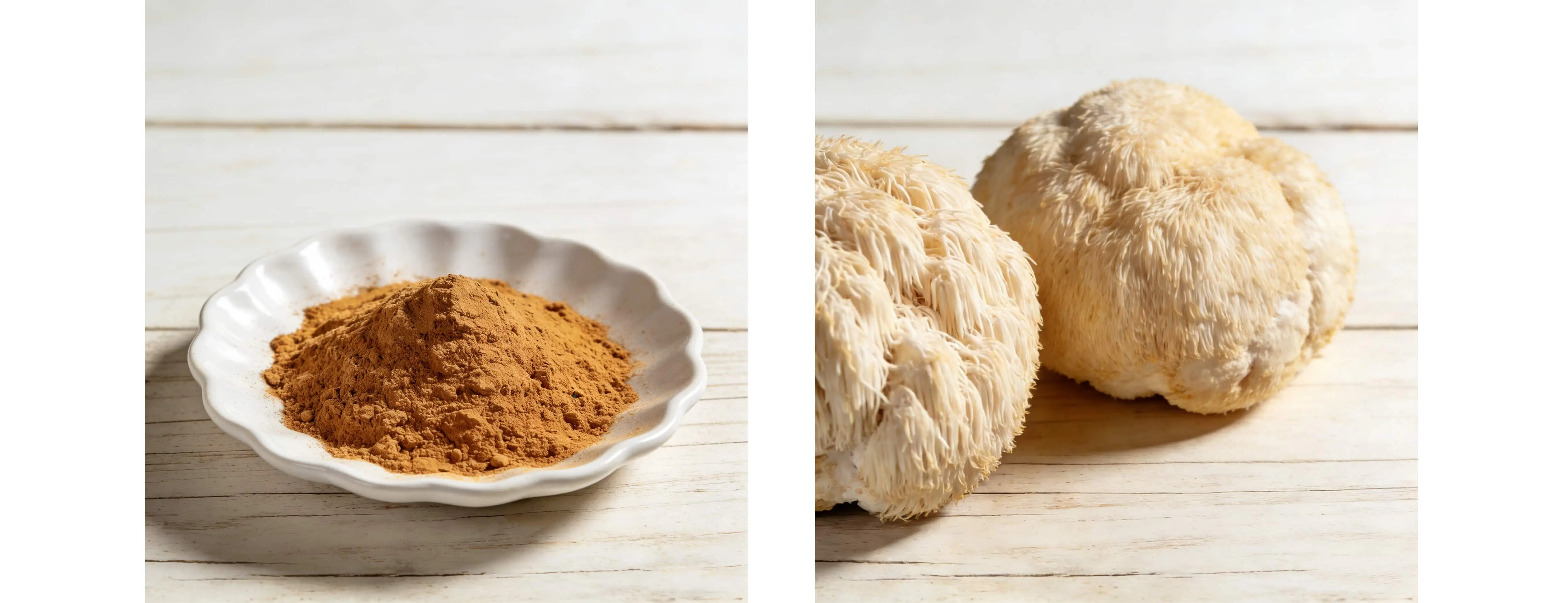 Lion's Mane Extract Powder