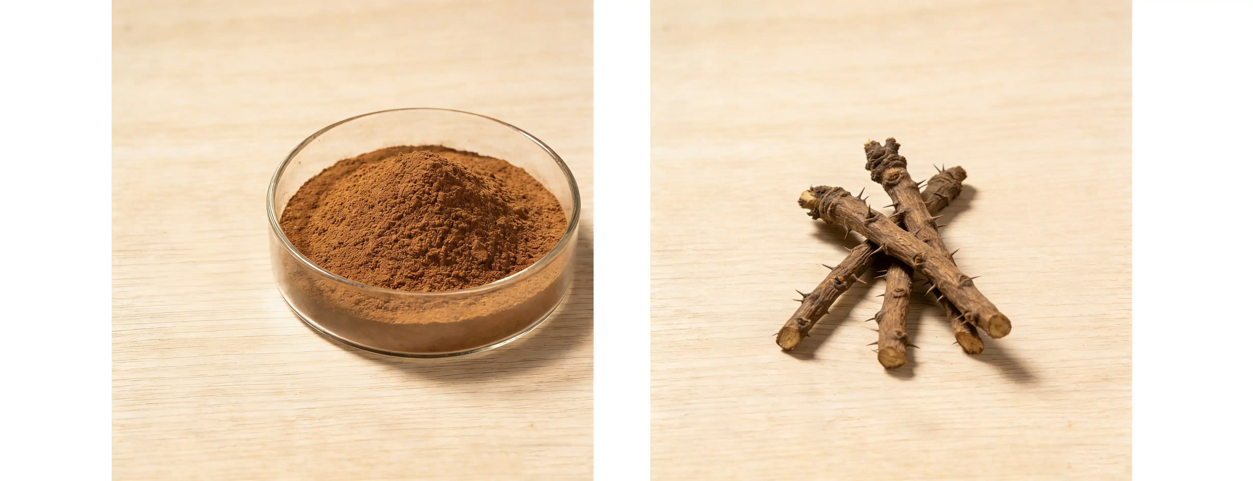Eleutherococcus Senticosus Powder Eleutherococcus Senticosus Powder
