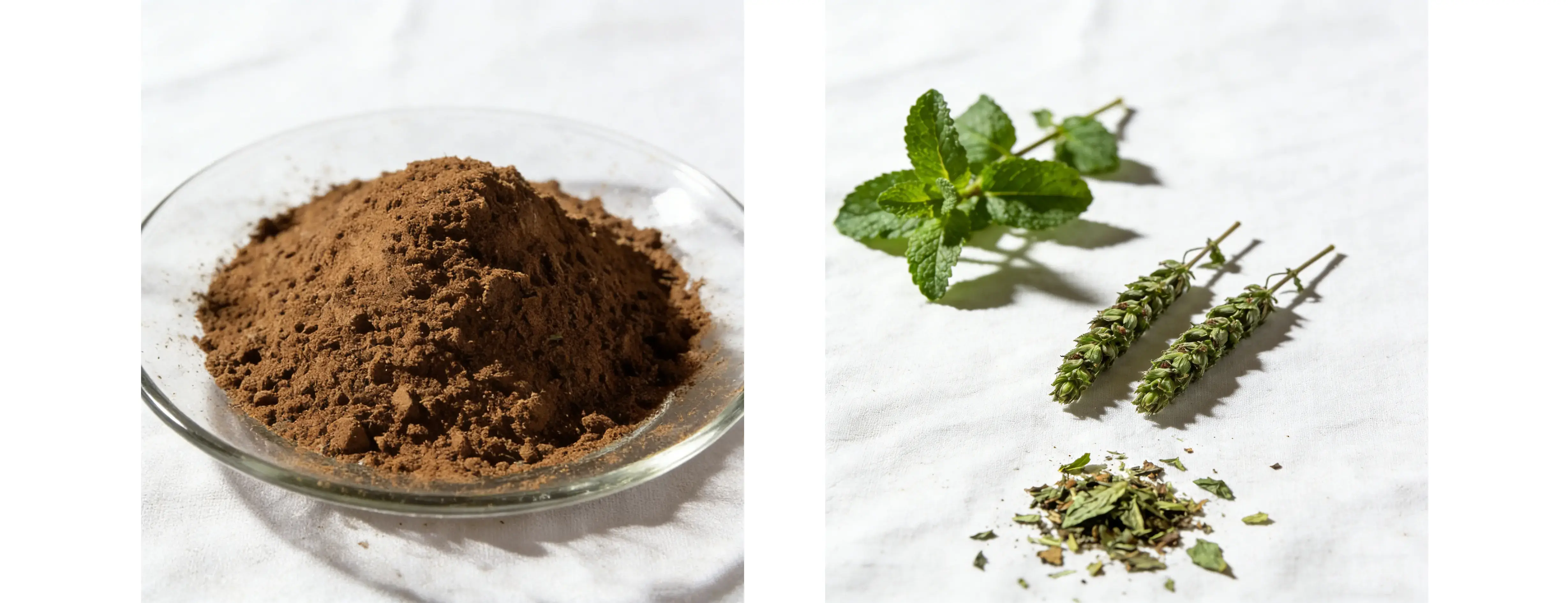 Peppermint Extract Peppermint Extract