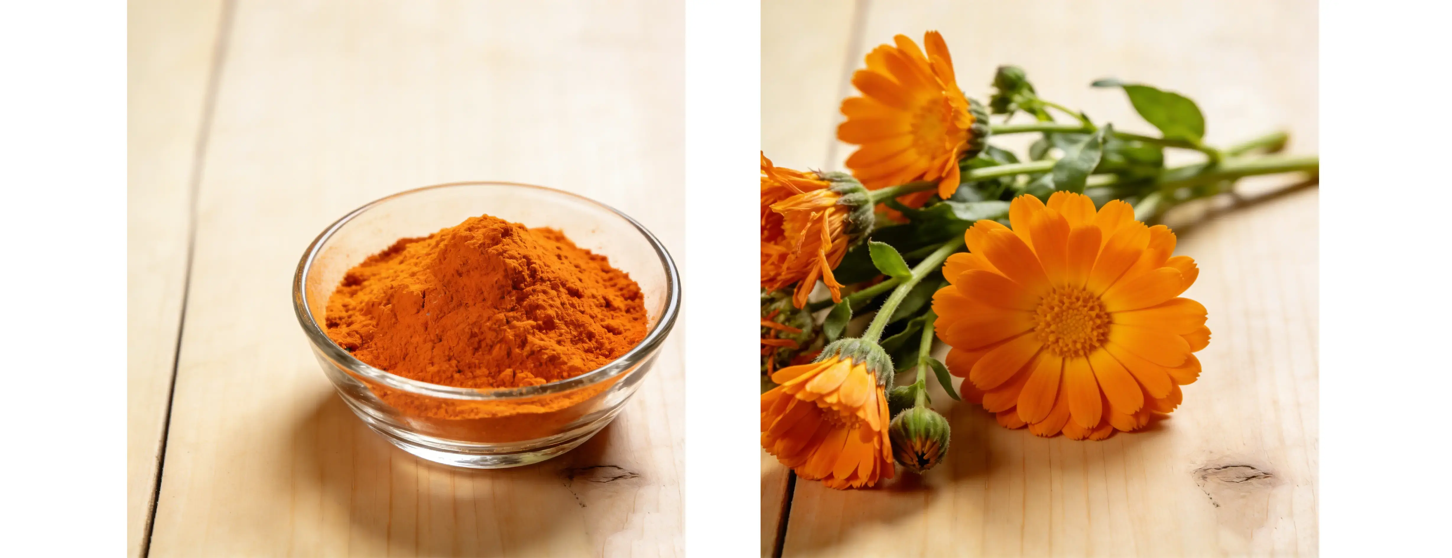Calendula Extract Calendula Extract
