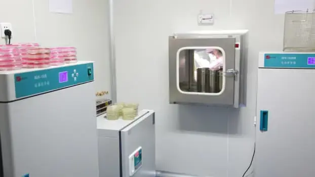 Research & Development