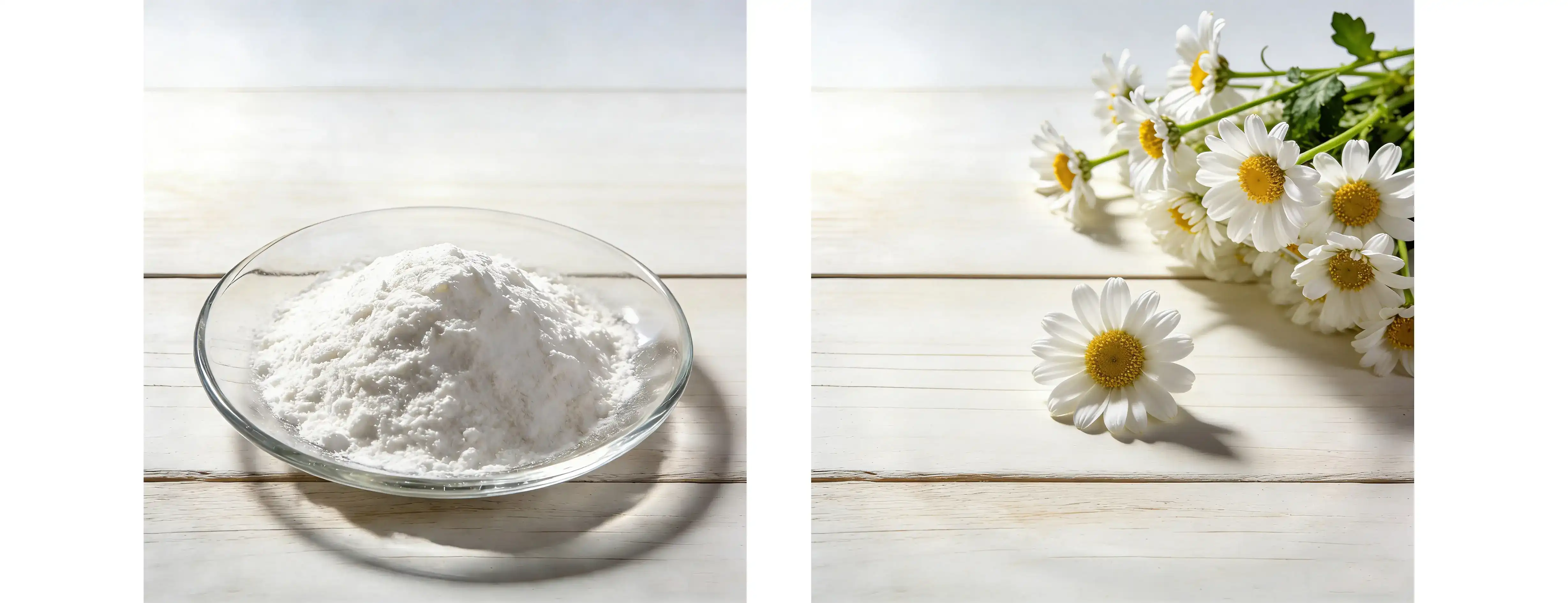 inulin powder extract