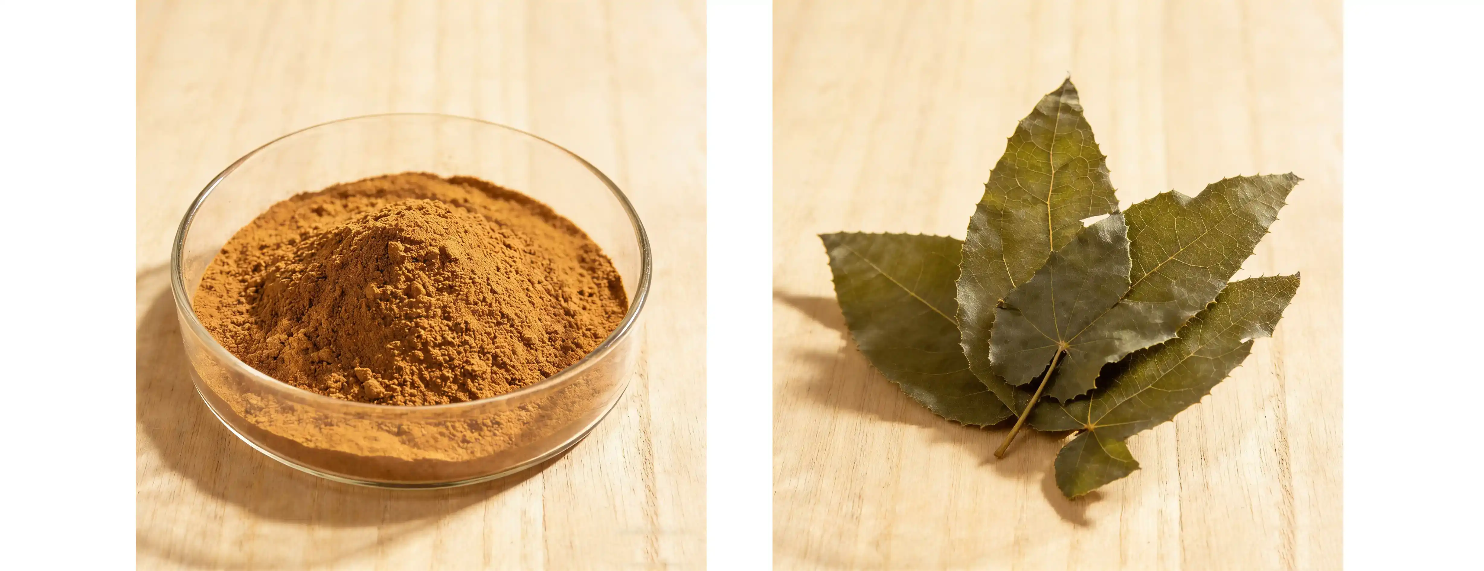 horny goat weed powder