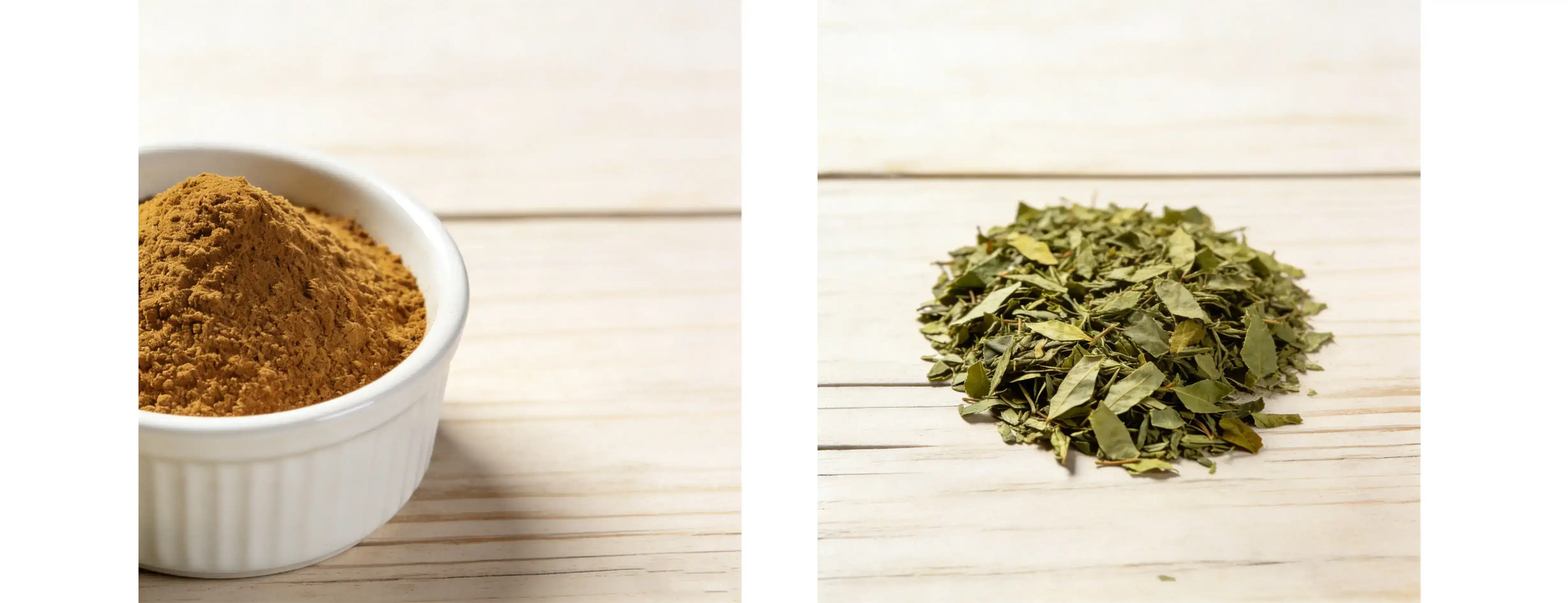 Yerba Mate Extract powder
