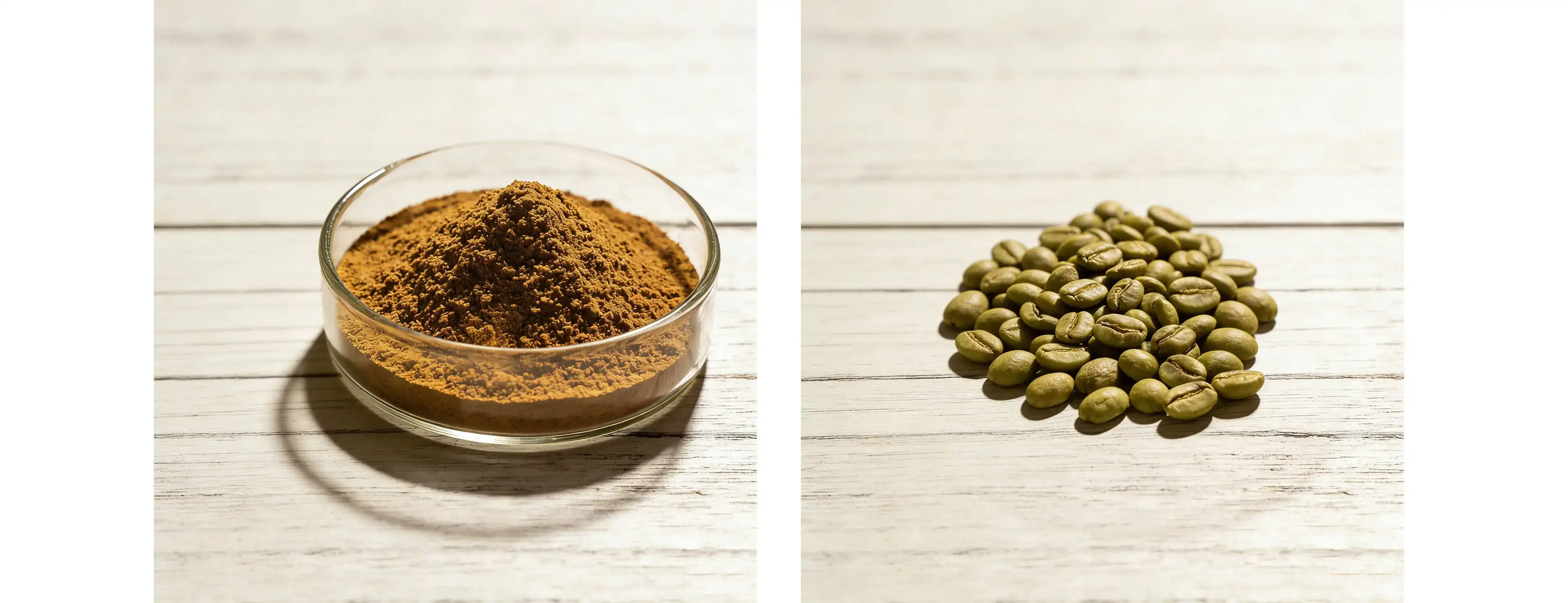 Green Coffee Bean Extract powder