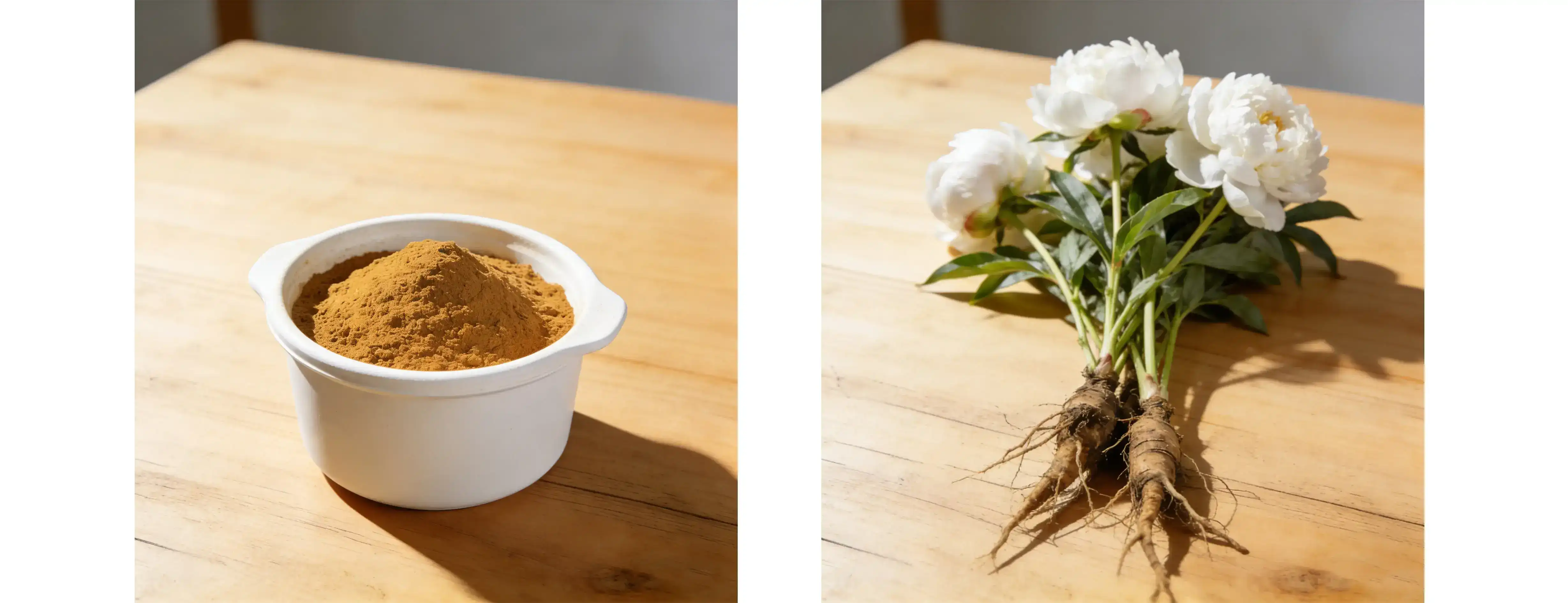 White Peony Extract