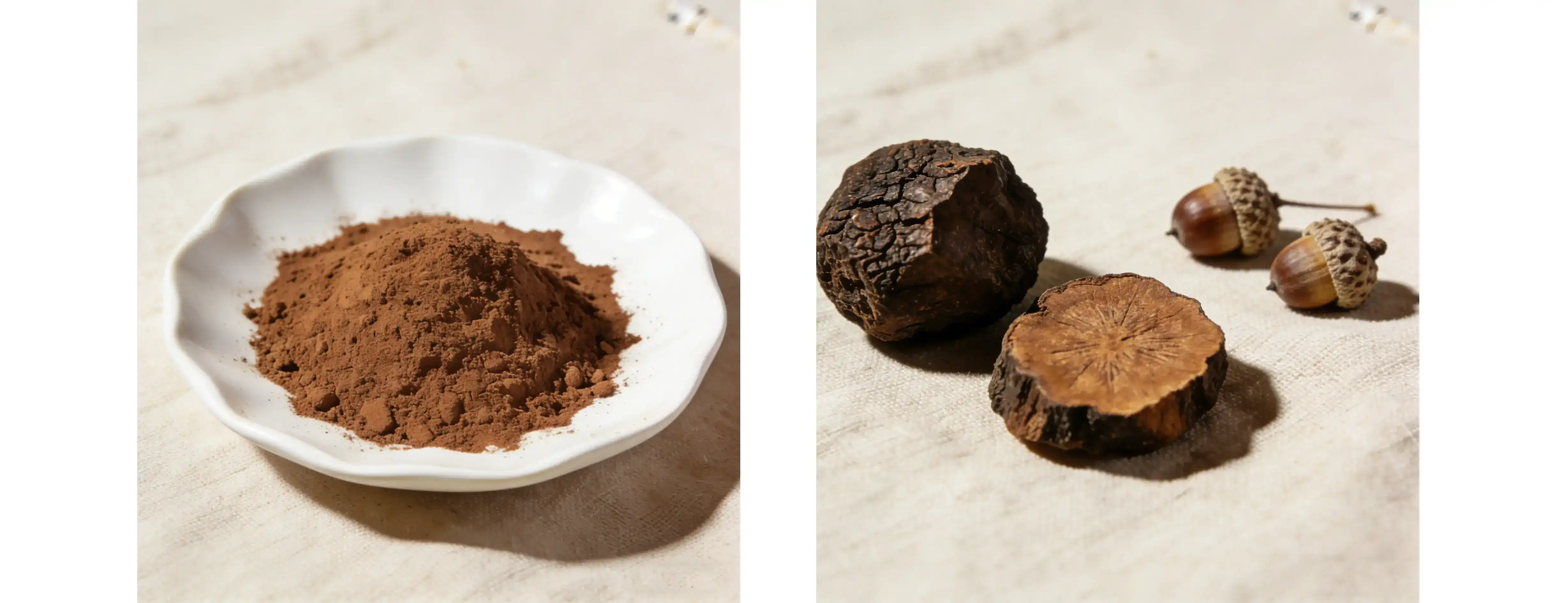 pure Chaga mushroom Powder