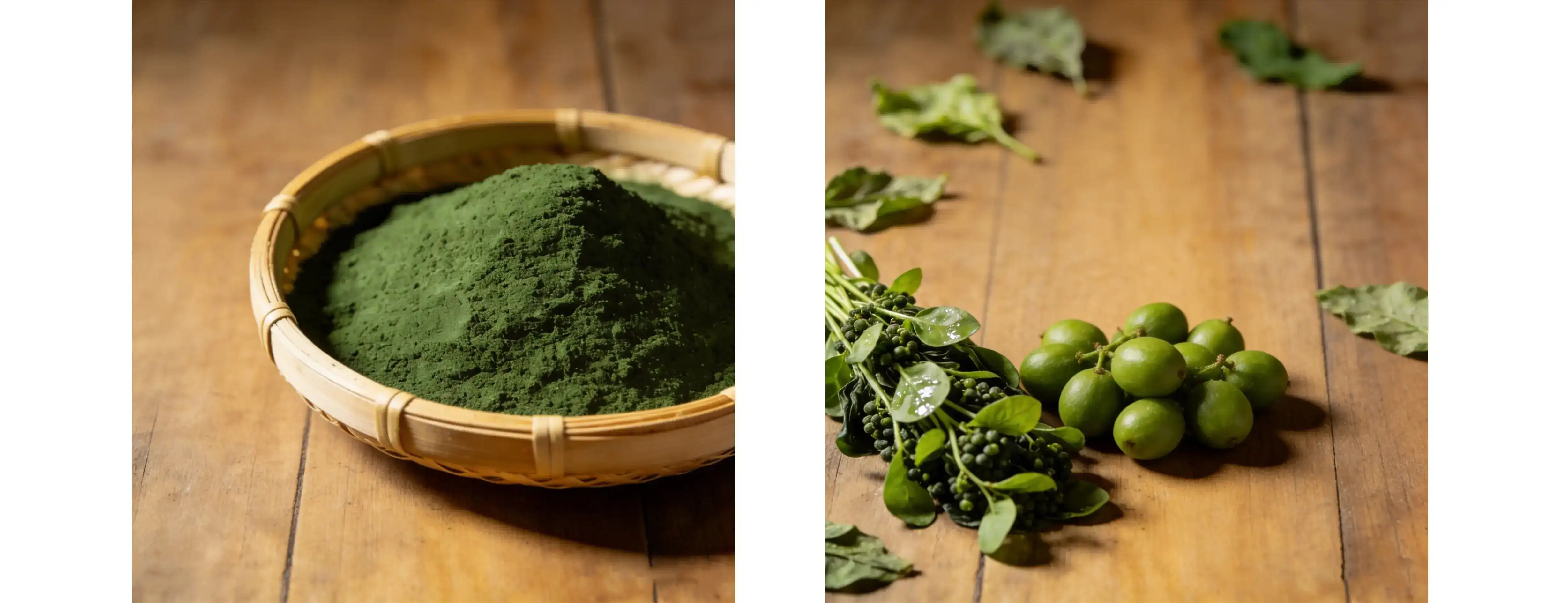 pure Chlorella Powder