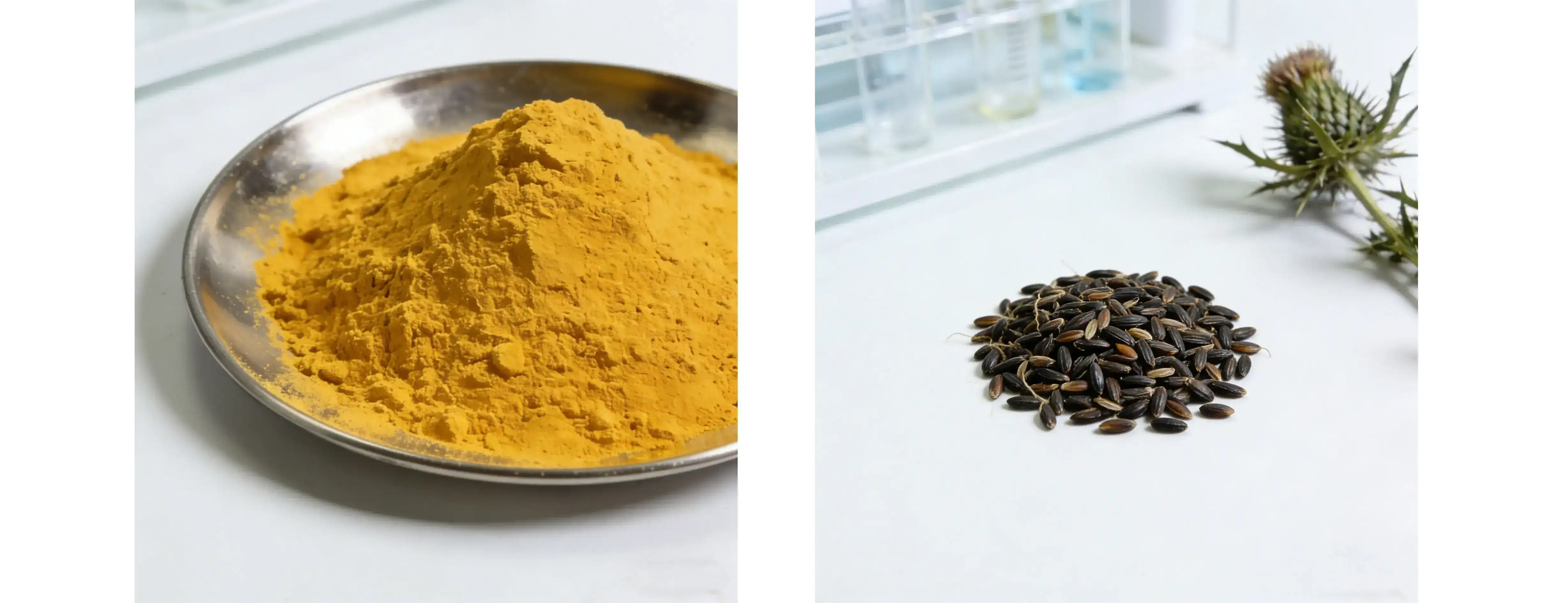 milk thistle seed powder