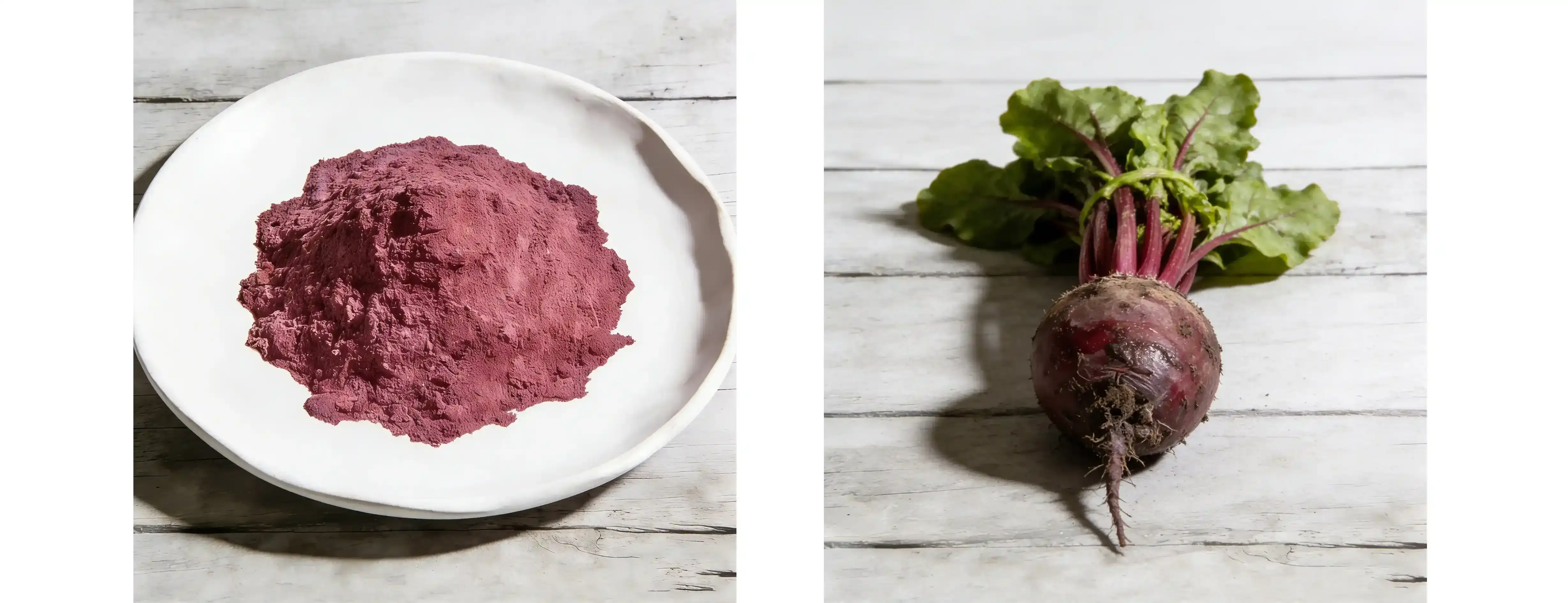  Beta vulgaris root powder