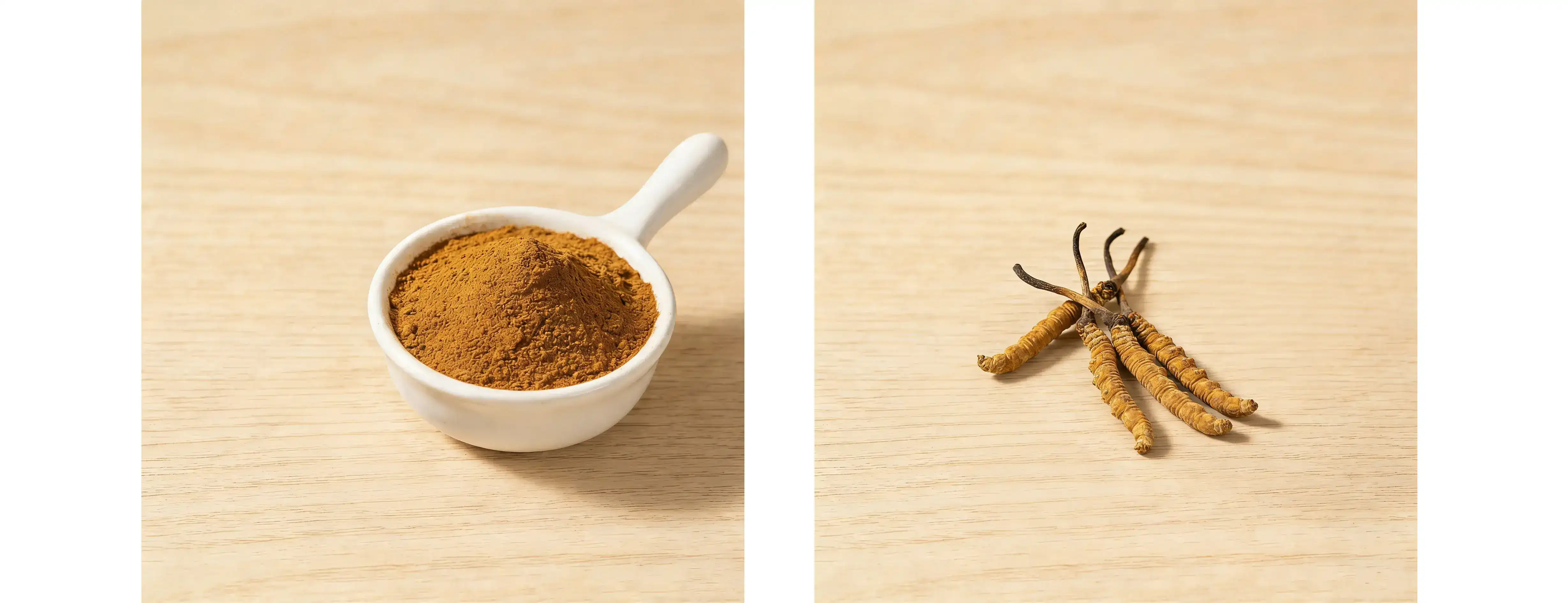 Cordyceps sinensis extract