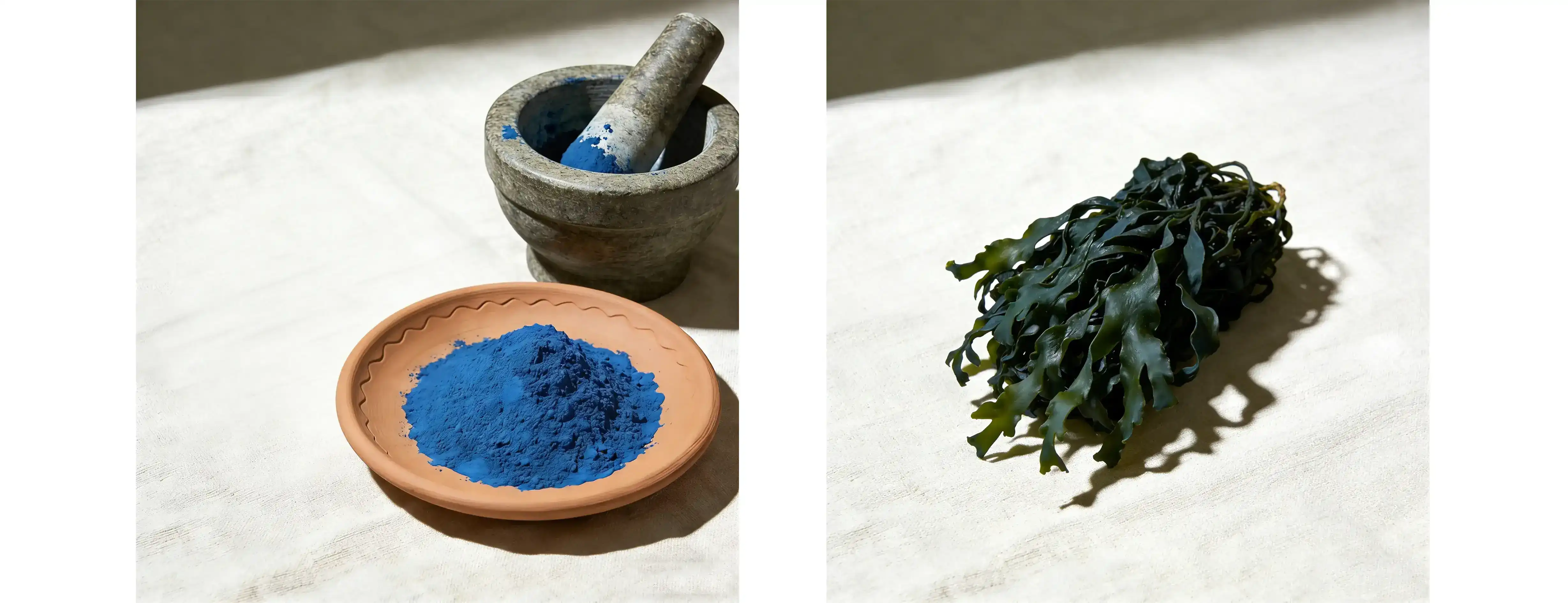 Blue Spirulina Phycocyanin