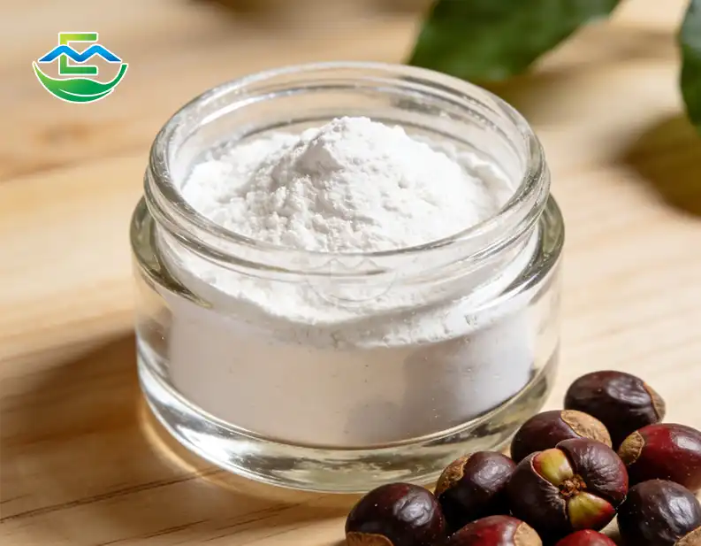 Guarana Seed Extract Powder Dosage Accuracy in Formulations