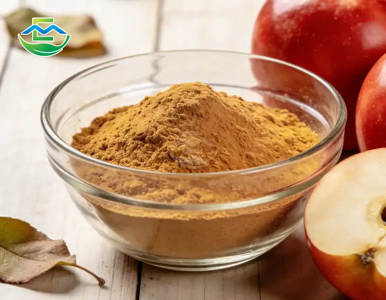 5 Applications for Apple Juice Powder in Food and Beverages