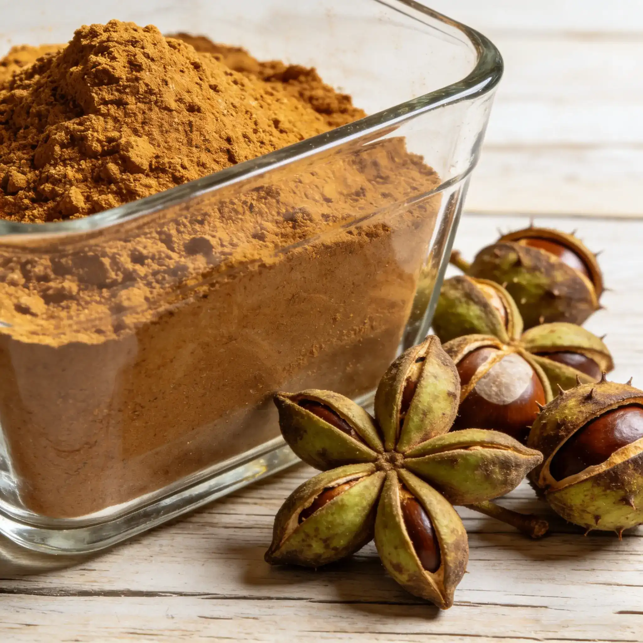 Horse Chestnut Extract 20% Aescin UV Technical Overview