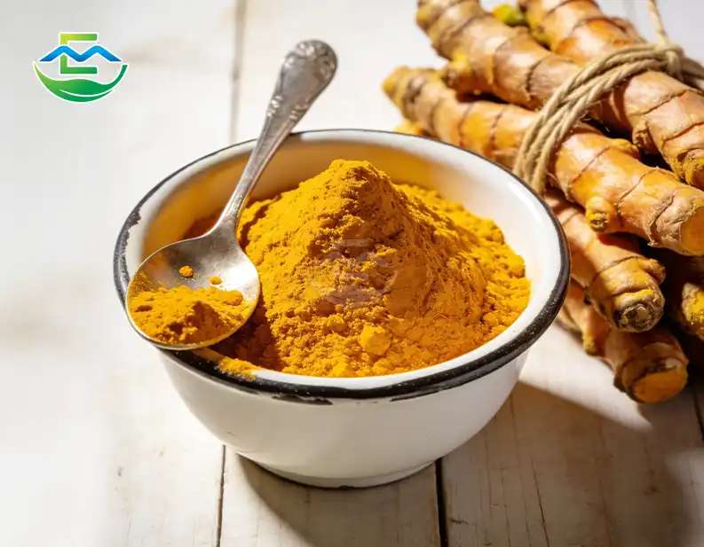 What Makes a Reliable Turmeric Root Extract Supplier?