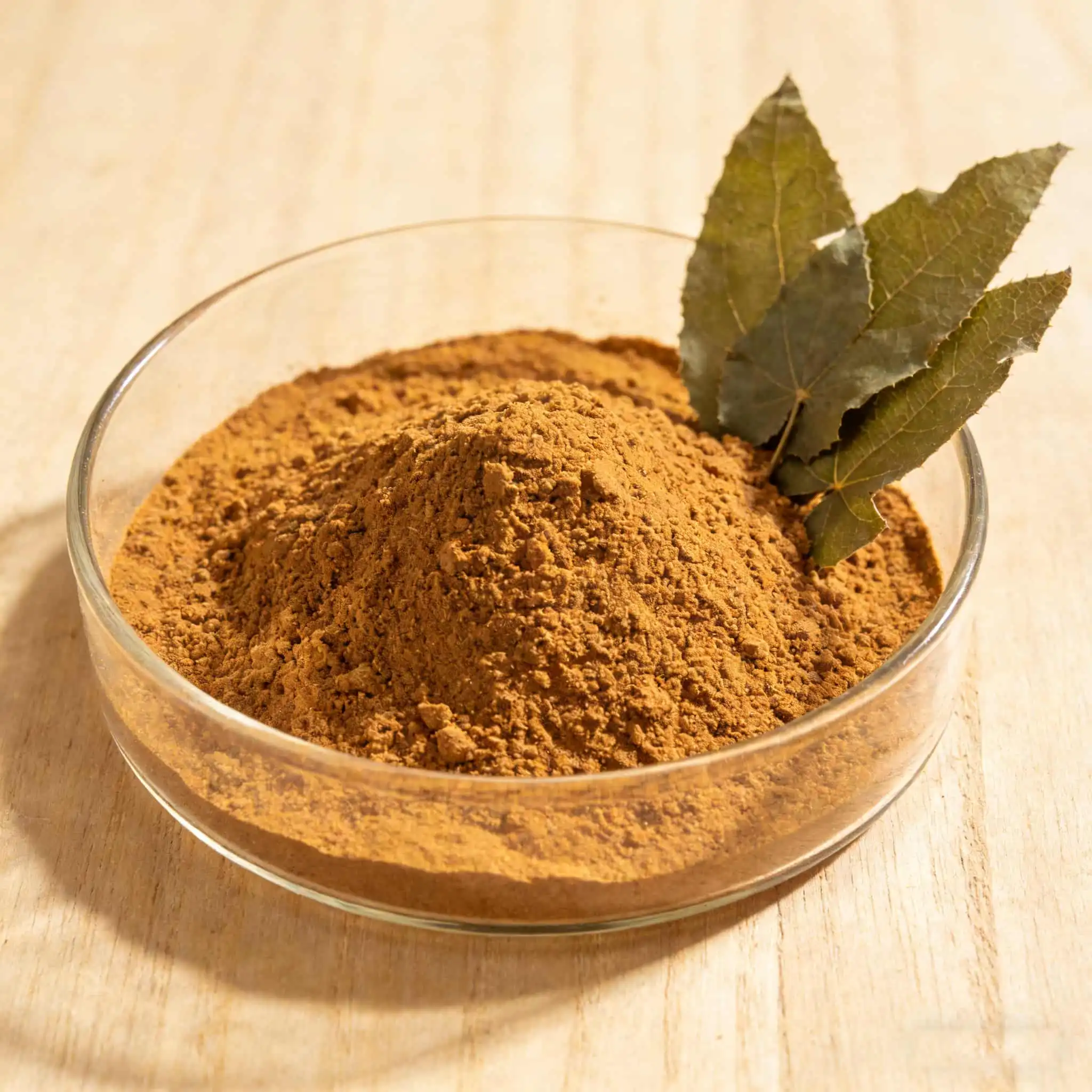 How to Source Consistent Horny Goat Weed Powder