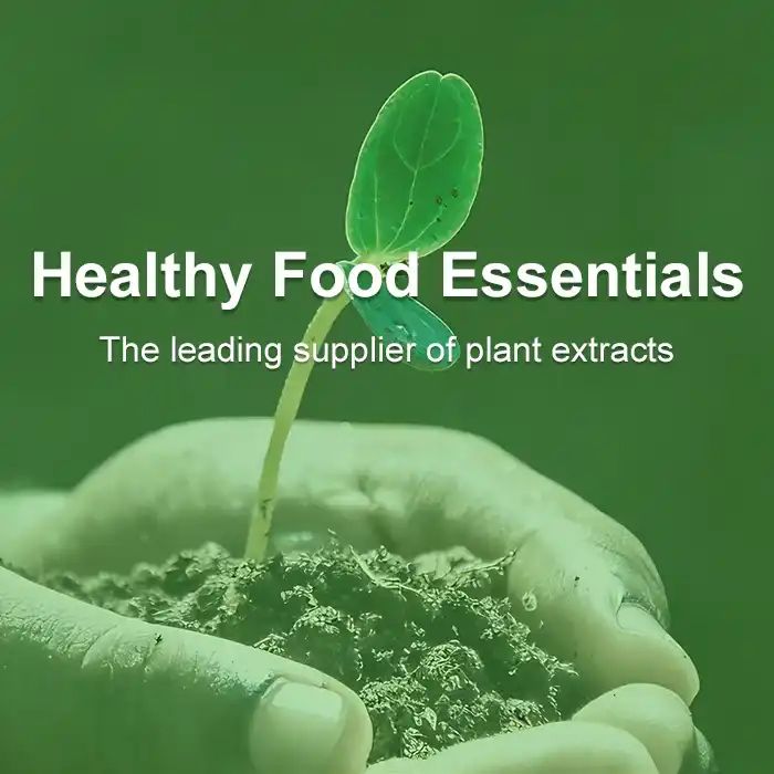 手机端banner1_1767780189964