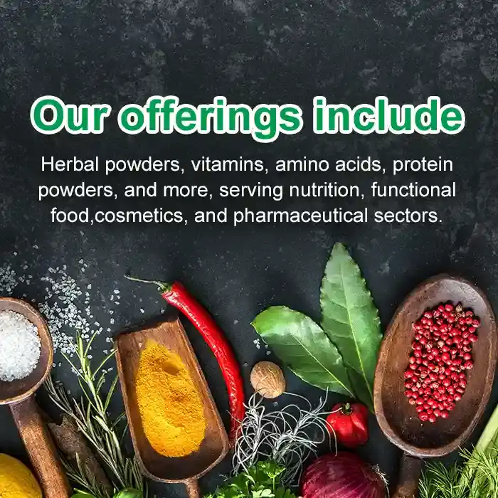 手机端banner2_1767780189966